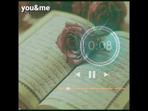 استمع وتدبر الله خالق كل شيء و هو على كل شيء قدير اجمل تلاوة 