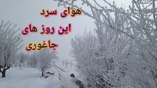 هوای سرد این روز های جاغوری.