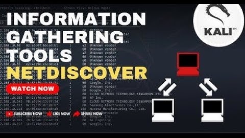 NetDiscover: A Powerful Information Gathering Tool in Kali Linux
