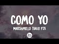 Marshmello Tiago PZK - Como Yo (Letra/Lyrics)