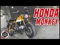 First Ride on the Honda Monkey 125!