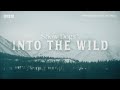 Snow Dogs: Into the Wild | BBC Select