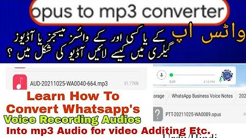 How to convert a whatsapp audio file into mp3 file/Opus to mp3 convertor/Opus to mp3#OpusTomp3Change