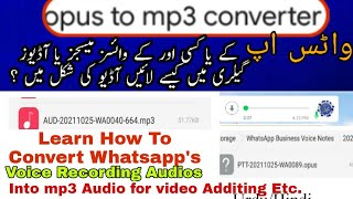 How to convert a whatsapp audio file into mp3 file/Opus to mp3 convertor/Opus to mp3#OpusTomp3Change screenshot 3