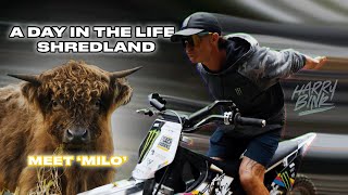 A Day in the Life on the Farm with Harry Bink: Meet Milo & First Ramp Whips