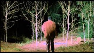 Twin Peaks (Fire Walk With Me)-Final Sequence