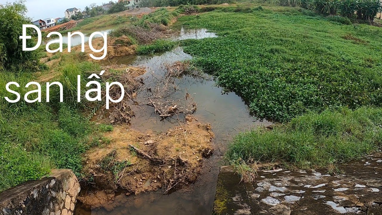 Старый пункт предложения такой красивый Большой угорь