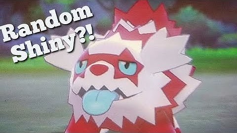 Random Encounter Shiny Galarian Zigzagoon (Live Reaction)