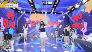 Panda Class Panda Live