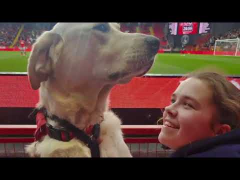 Look families go behind the scenes with Charlton Athletic