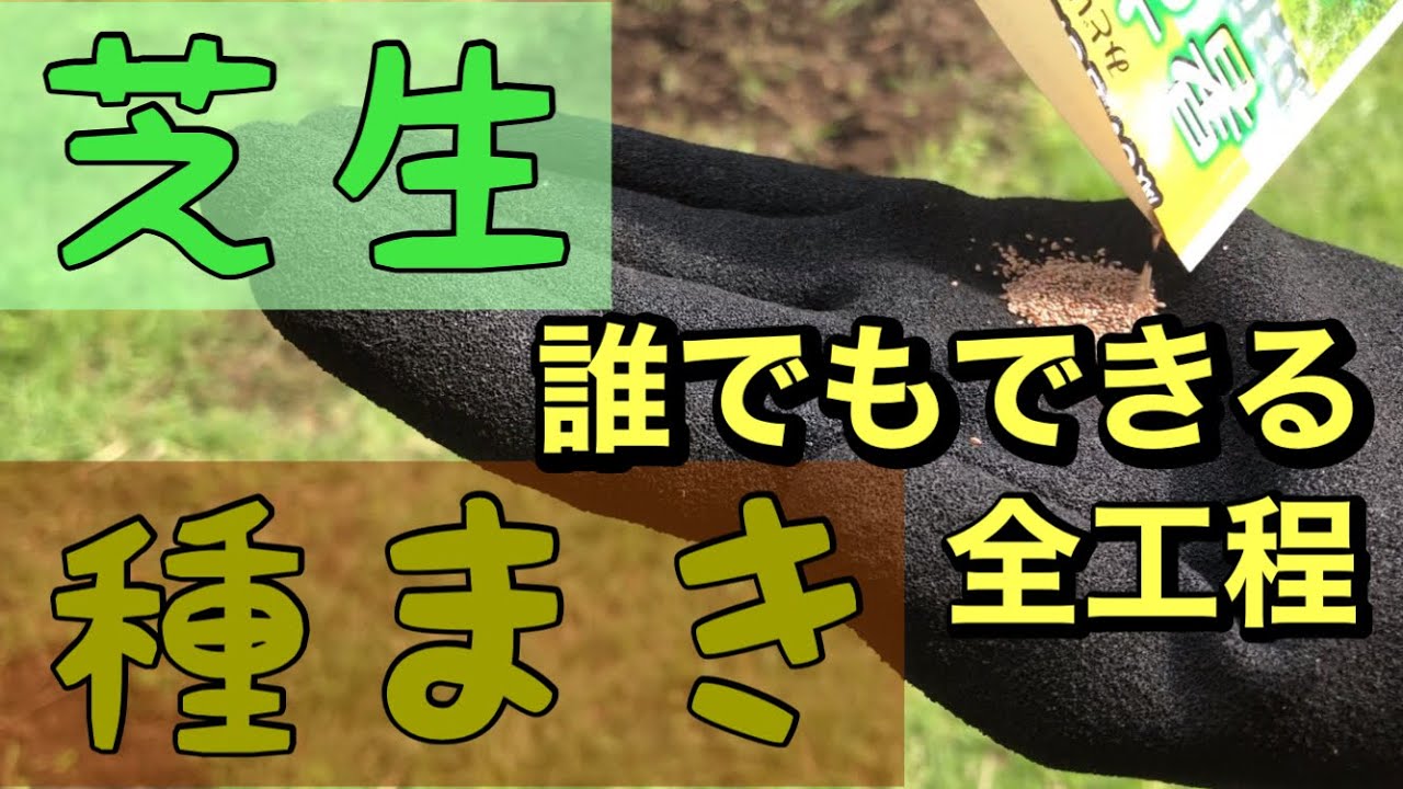 種まき の 仕方 – 種のまき方 図解 , プロに学ぶ！種まきの基本！ – KOHGYZ