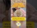 Cảm ơn loài người các bạn vì đã cho tôi cảm nhận thế nào là yêu thương #shorts