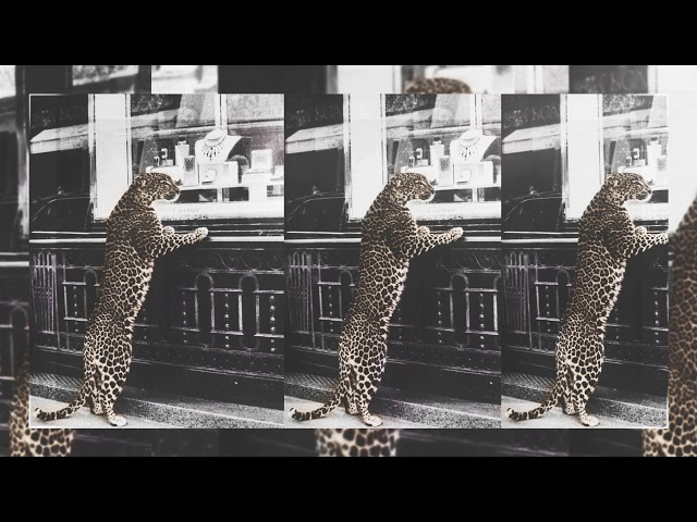 thumbnail img1x1