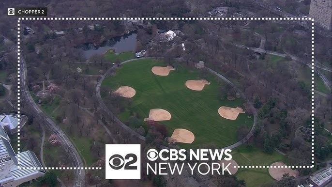 Central Park S Great Lawn Reopening After Repairs