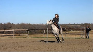 Valley View Ranch  - Lena Royal Bar - poles  ***For info, price, etc., go to our website***