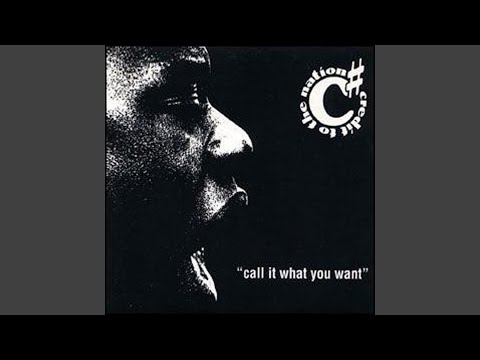 Guarda Call It What You Want (Remix) su YouTube