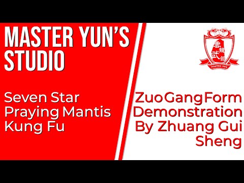 Master Wang Qing Zhai Inherit Festival | Zuo Gang Form Demonstration