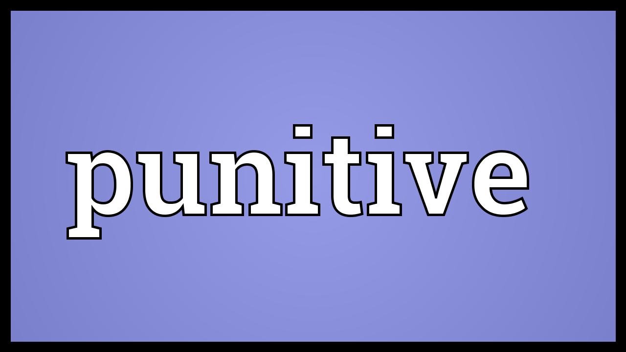 Punitive Meaning YouTube