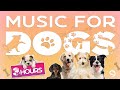 Soothing Music for Dogs to Calm Down, Relax &amp; Sleep | Dog Music Therapy Calming Aid for Relaxation