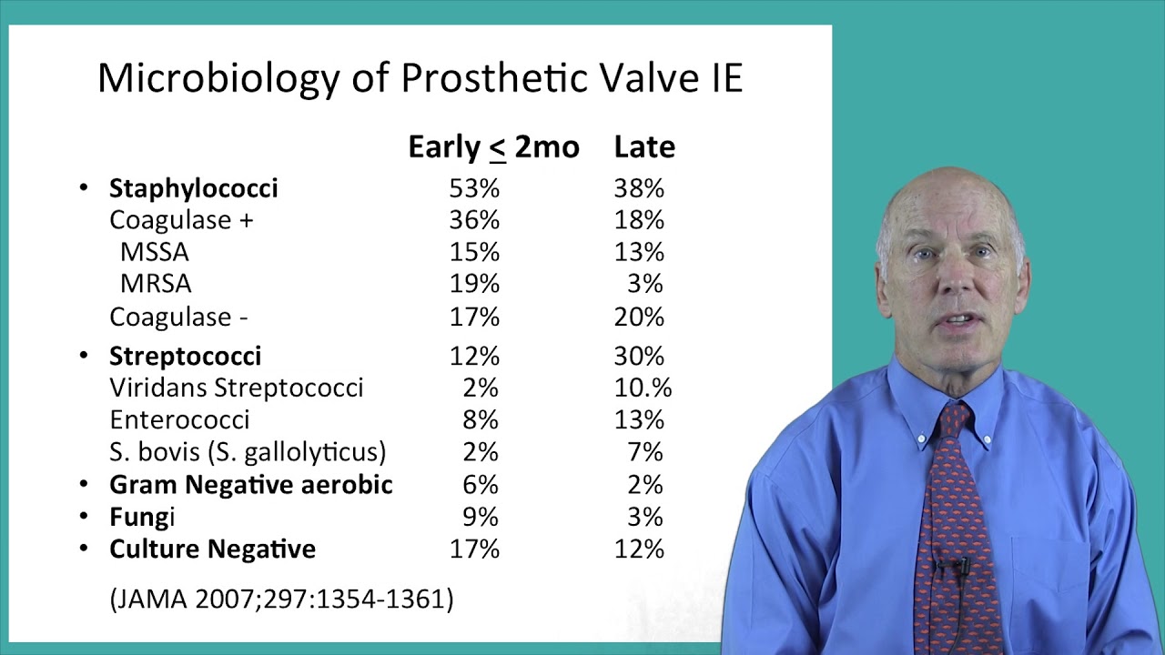 5 Infective Endocarditis Treatment - YouTube