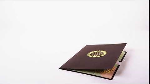 sunflower pop up card video