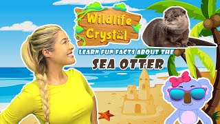 Sea Otter Facts