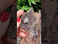 Украшение на развитие и усиление женских энергий