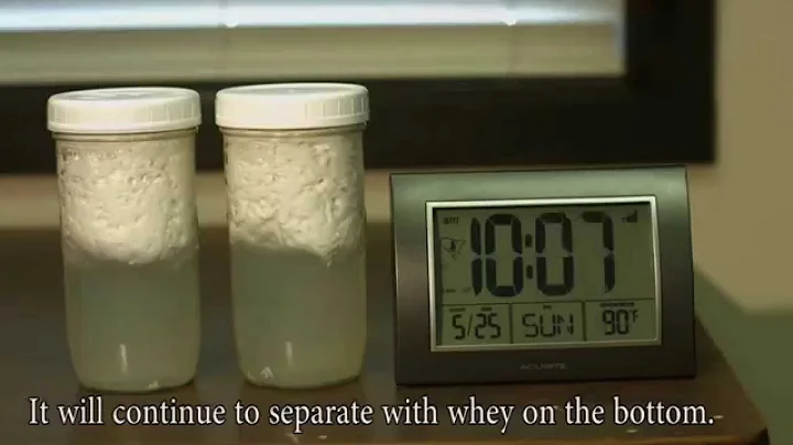 Kefir Separating Time-Lapse