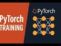 Essential PyTorch Training Techniques for Effective Neural Network Development
