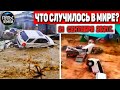 Катаклизмы за день 21 СЕНТЯБРЯ 2021! Пульс Земли! в мире событие дня #flooding​ #ураган​ #наводнение