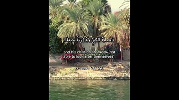 سورة البقرة الاية 266 Surah Al-Baqara Ayahا#quran #surahalbaqarah #القرآن #chorts #اكسبلور_explore
