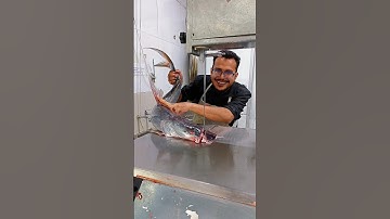 Giant super Massive Ayer fish amazing cutting skills video #viral #video #shorts #viralshorts