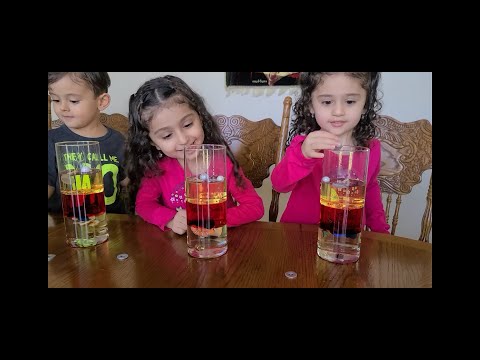 Density Experiment for kids