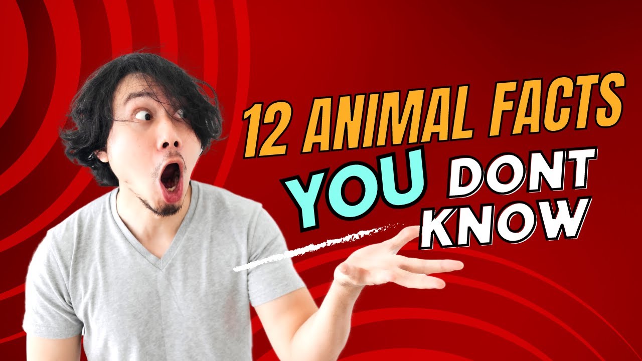 "The Hidden Wonders of the Animal World: 12 Astonishing Facts Revealed!"