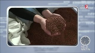 emploi on recrute du cap à bac 5 dans lagroalimentaire