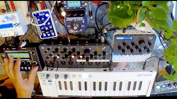 Small But Tasty Synths | Skulpt CraftSynth 2.0 vs MicroMonsta | Arpy rhythmic juicy jam