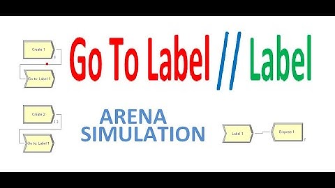 Arena Simulation Go to Label