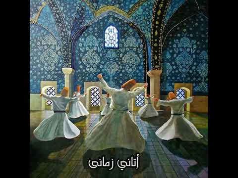 3 أتاني زماني بما أرتضي