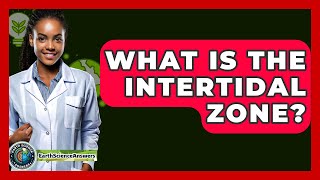 What Is The Intertidal Zone? - Earth Science Answers
