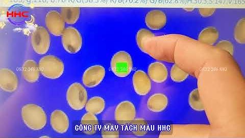 Giới thiệu sơ qua tính năng AI có sẵn trong các máy tách màu HHC