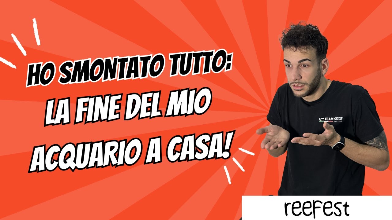 Ho Smontato Tutto: La Fine del Mio Acquario a Casa! - YouTube