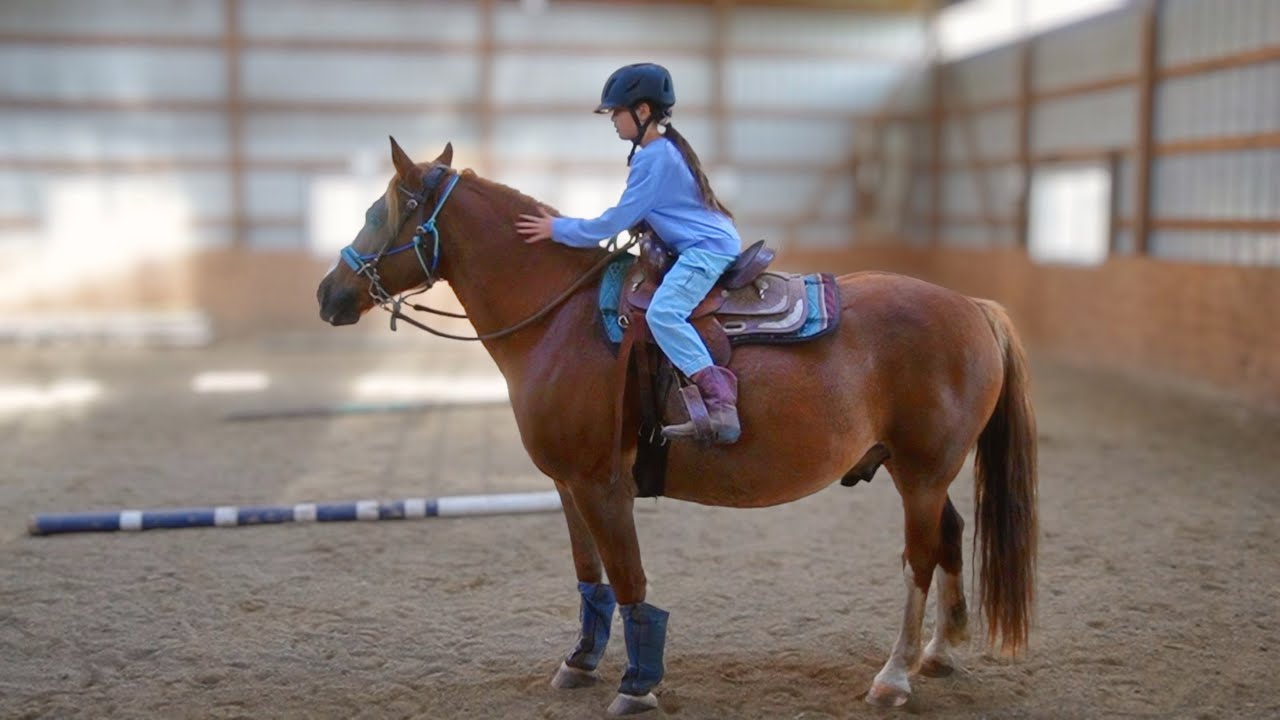 My Western Riding Lesson with Chester - YouTube