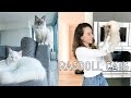Owning a Ragdoll Cat || What to know の動画、YouTube動画。