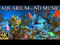 Aquarium 4k coral reef 4k aquarium no music no ads  8 hours  aquarium sounds for sleeping