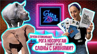 картинка: Зачем отпиливают рога носорогам и Вымрут ли все слоны с бивнями? #наука #биология #днк