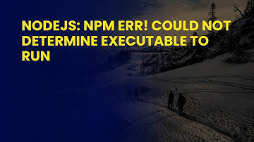 NodeJS: npm ERR! Could Not Determine Executable to Run