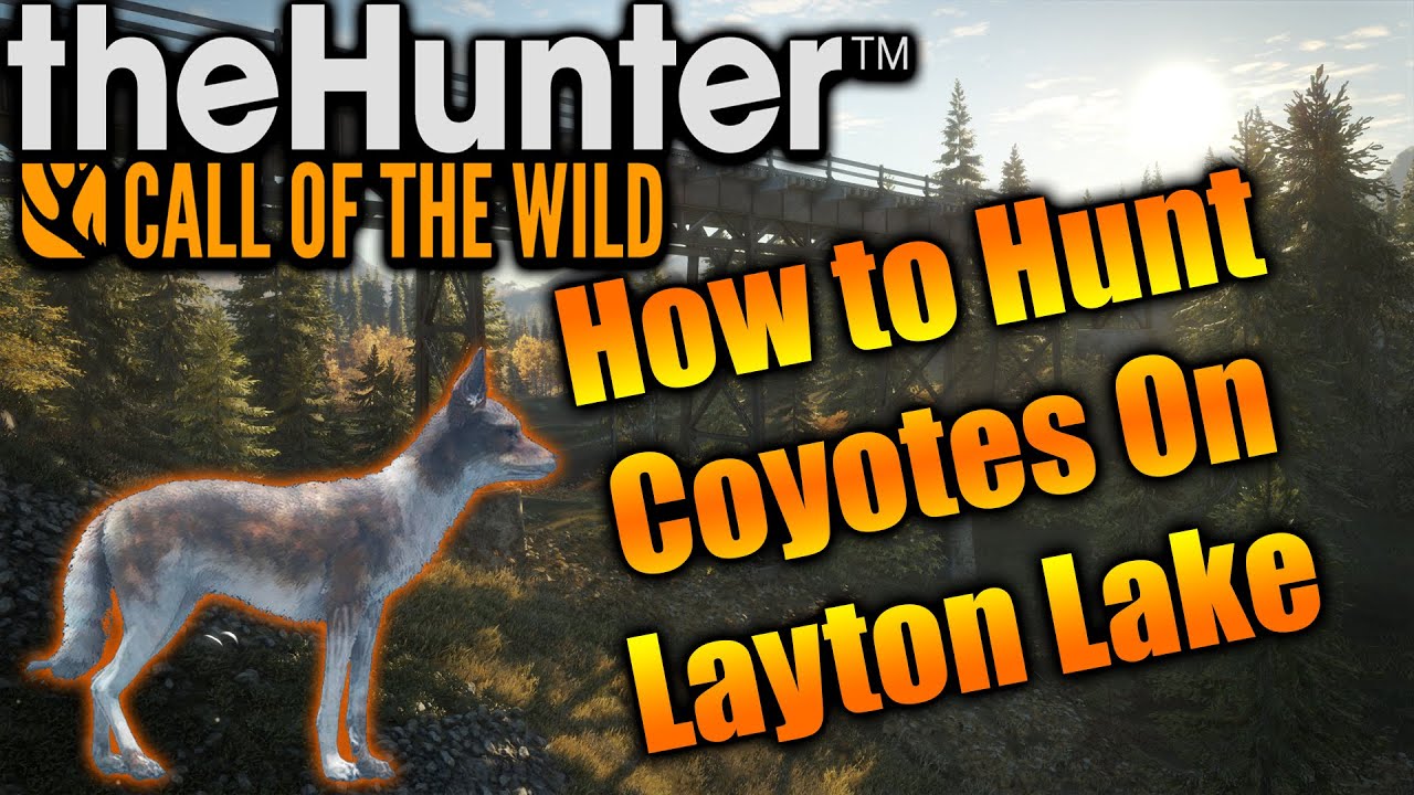 How To Hunt Coyotes In The Hunter Call Of The Wild YouTube how-to-hunt-coyotes-in-the-hunter-call-of-the-wild-youtube