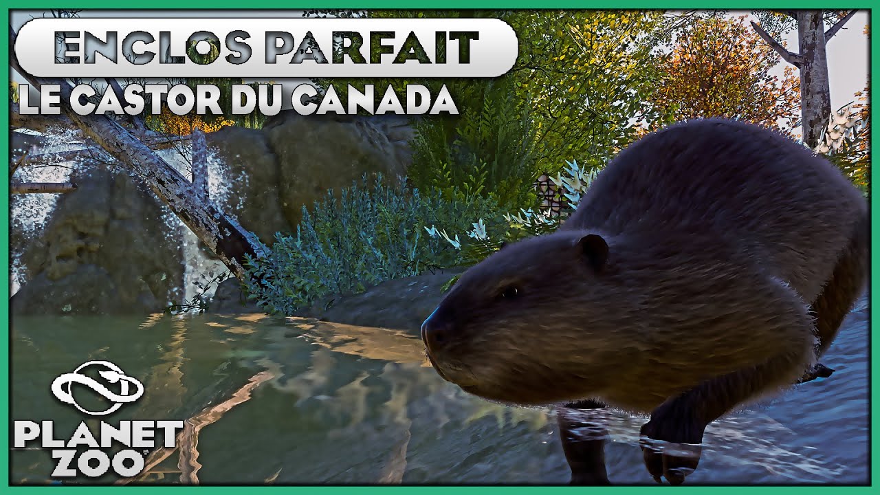 Les Castors du Canada | LES ENCLOS PARFAITS : EPISODE 29 | PLANET ZOO