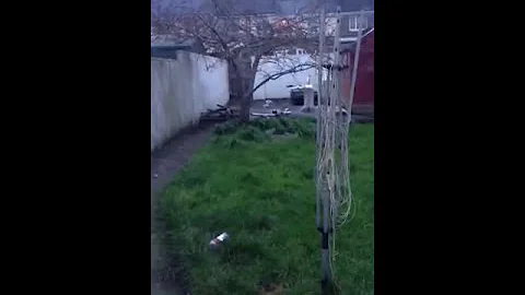 Epic garden explosion