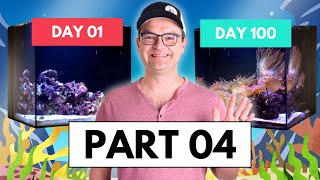 Part 04 Corals & Anemones